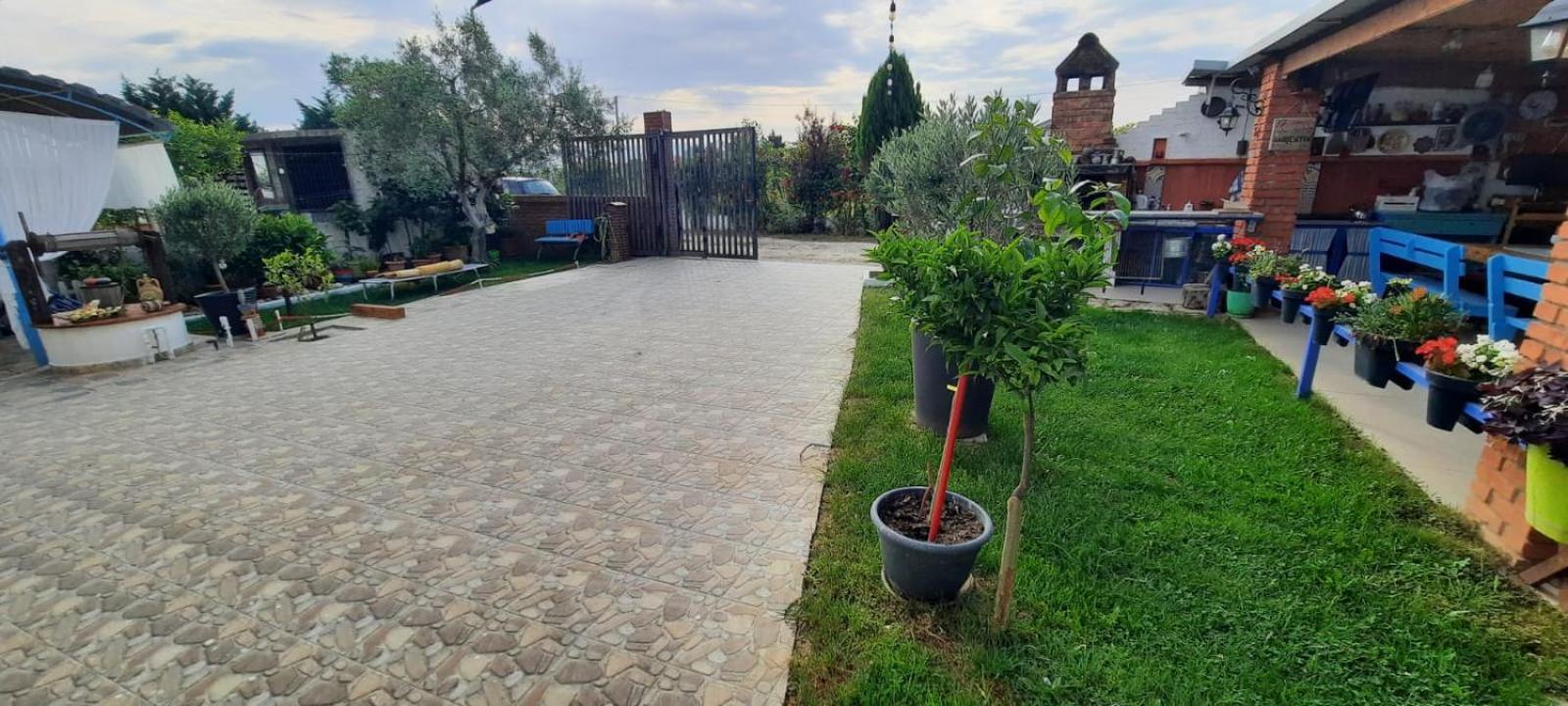 Vila Jone Golem  Dış mekan fotoğraf